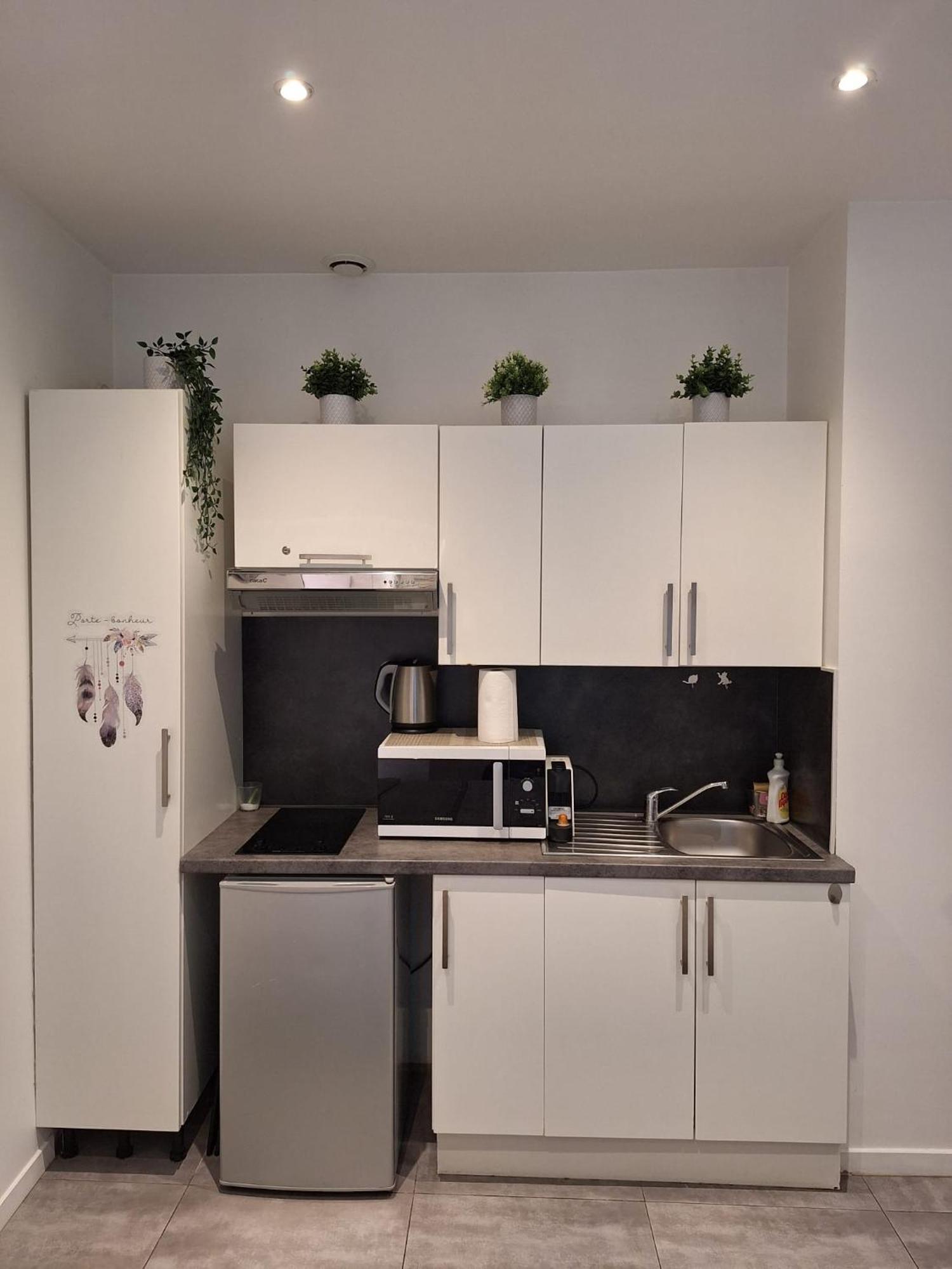 Beautiful Apartment With Terrace Centre Nice Buitenkant foto